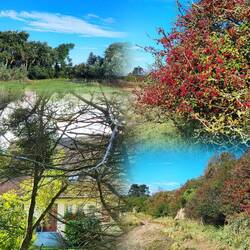 Vorbei an Büschen,Gräsern,tollen Häusern....