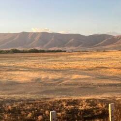 Almost like Otago's goldfields