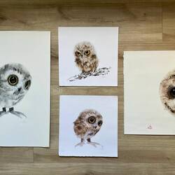 Owl watercolors ❤️