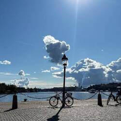 Not as many bicycles as Amsterdam but still a lot of dedicated bike lanes