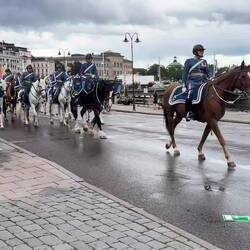 Royal Swedish Cavalry Band--yes, the whole band plays along the route to the palace...promise. 🫤