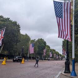 Us flags for trump
