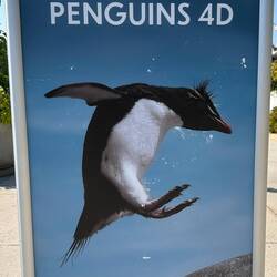 The Shedd Aquarium awaits