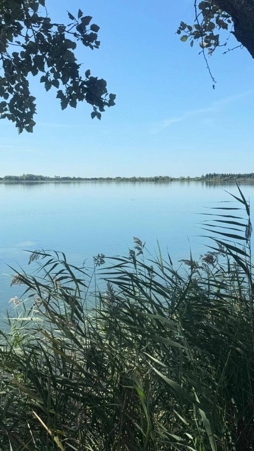 Première nuit au bord de l'étang des Aulnes près de Saint Martin de Crau