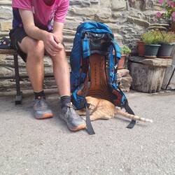 Rucksack als Katzenspielzeug