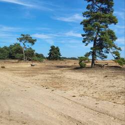 Sand und nochmehr Sand.