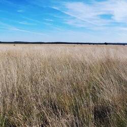 Nur Weite. Auch das hat etwas Besonderes.