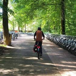 Los geht's. Hunderte Fahrräder, in unterschiedlichen Höhen, zur freien Nutzung.