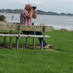 Walbeobachtungsposten