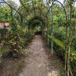 Verhildersum - im Garten