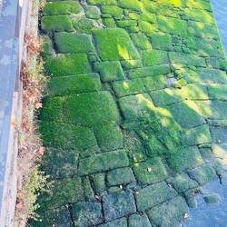 El paso del tiempo y su arte natural