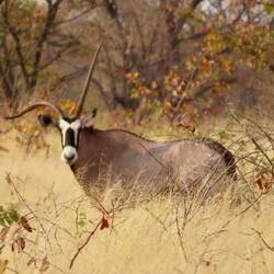 Da ist wohl was schiefgegangen ...