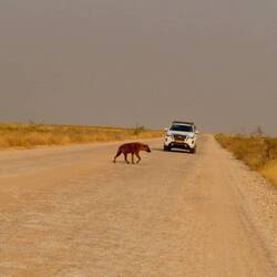 Begegnungen an der Straße