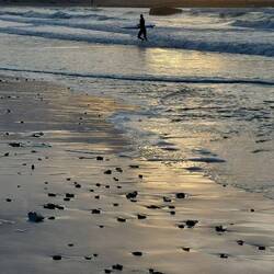 Idealen Bedingungen....waren einige im Wasser
