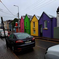 tolle Farben bei dem trüben Wetter