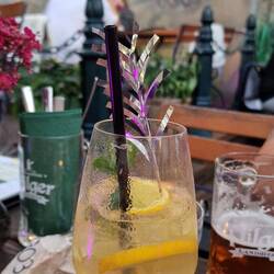 Mango-Spritz