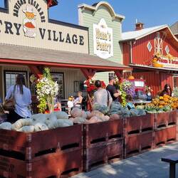 ....Kürbis an Kürbis in allen Farben....