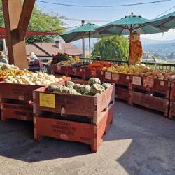 ...im Country Village...