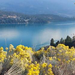 ....einfach wunderbar 🥰....