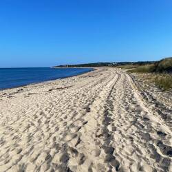 Schöne Sandstrände und Seelöwen waren im Wasser nahe beim Ufer