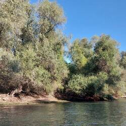 View on the Danube Delta