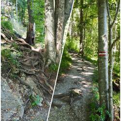 Weg zum 4-Seen-Blick