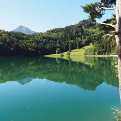 Alatsee