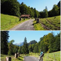 Auf dem Weg zum Alatsee
