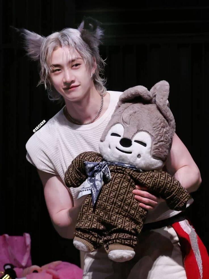 The wolf definitely looked like this!