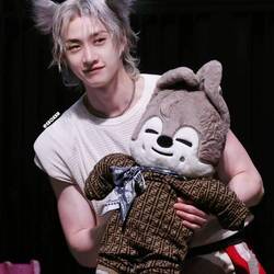 The wolf definitely looked like this!