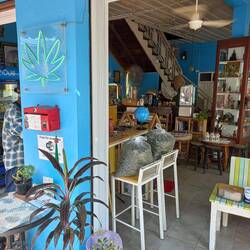 Need Weed? Welcome to Chiang Mai ;)