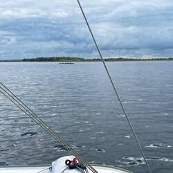 Rudern - Volkssport der Dänen