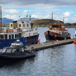 Three of the Majestic Cruise Line boats