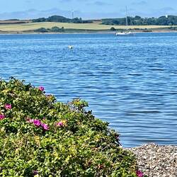 Boje der Danske Toursejler