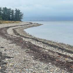 Im Hintergrund die Industrie von Thyborøn