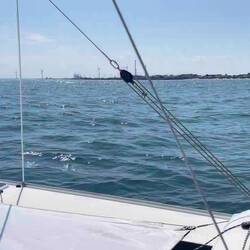 Ein Delfin begleitet mich bei der Rückfahrt von der Nordsee