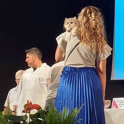 Notice the tail curling around her arm🥰