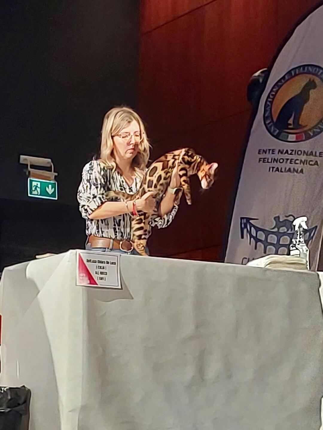 This bengal made a break for freedom! Threw the whole place into a panic for about 15 minutes.