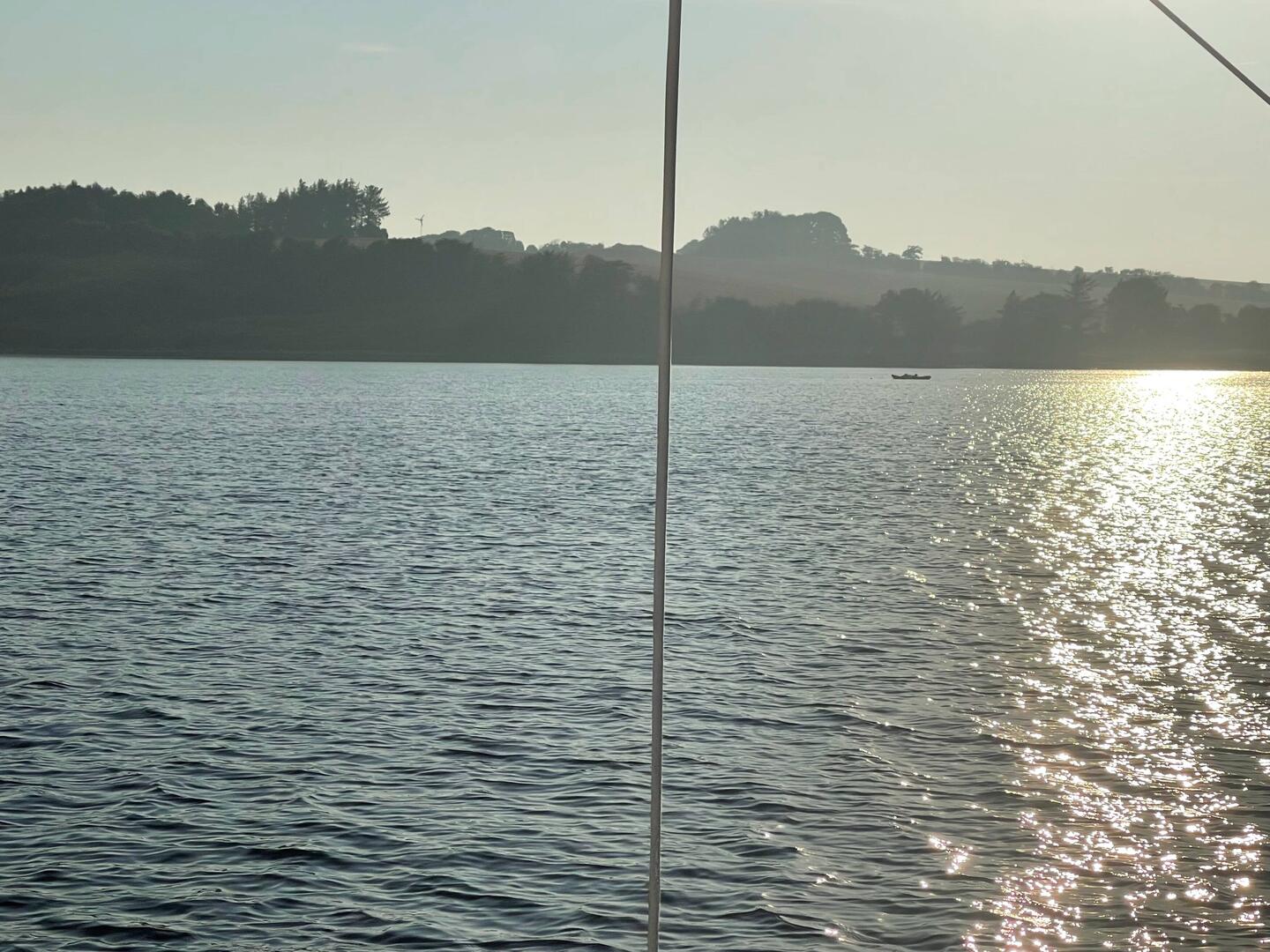 Robben auf einer Sandbank
