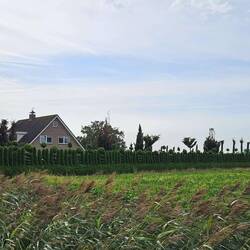 Steht zum Verkauf, ihr müsst auf die Hecke zoomen.