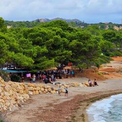 Die Strandparty beginnt! Uds-uds-uds! 🤪