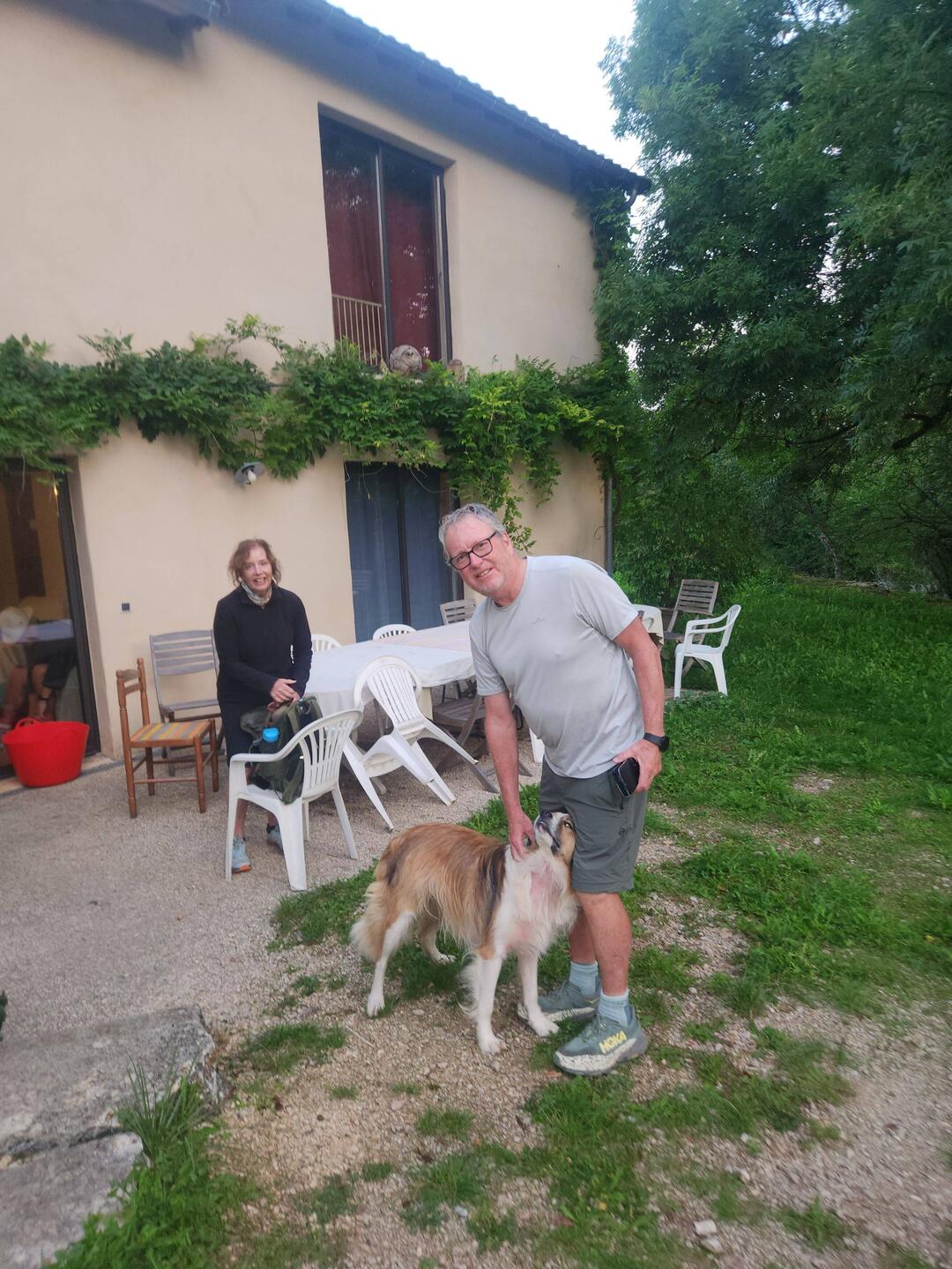 Lovely dog at farm stay last night