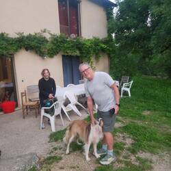 Lovely dog at farm stay last night