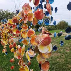 Scallop shells symbol of the Camino at a resting place