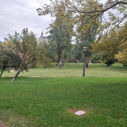 Running through the park