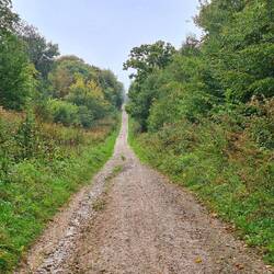 long walk in frankreich- gunies wald