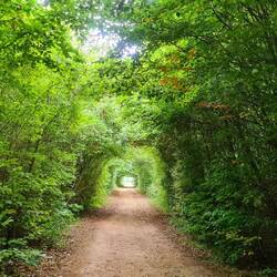 vita parcours nähe unterkunft