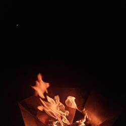 Die Feuerfeen