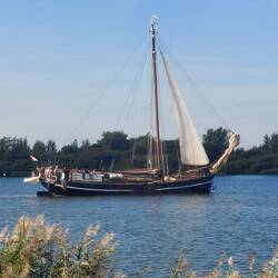 Morgens am Lauwersmeer