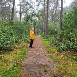 Abendspaziergang und immer mehr Pilze sehen wir.